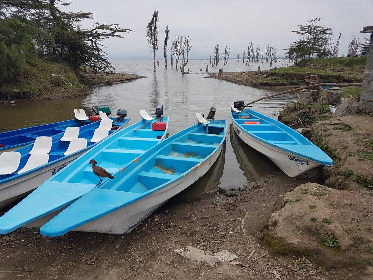 נאיוואשה Hippo Safaris Resort מראה חיצוני תמונה
